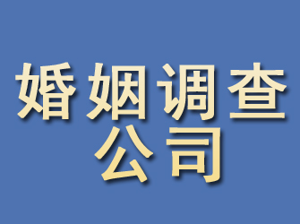 阳谷婚姻调查公司